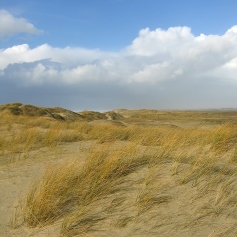 grassy sand dunes and cloudy sky