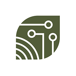 Leaf icon