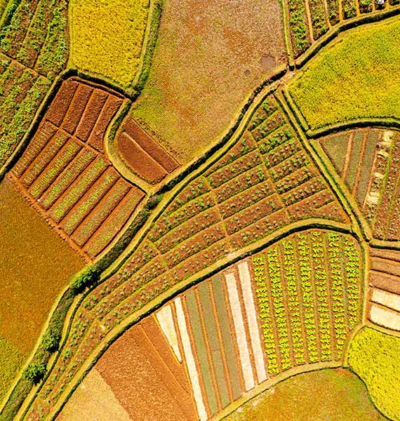 arial view of farmland
