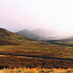 peat moors with foggy mountains in background