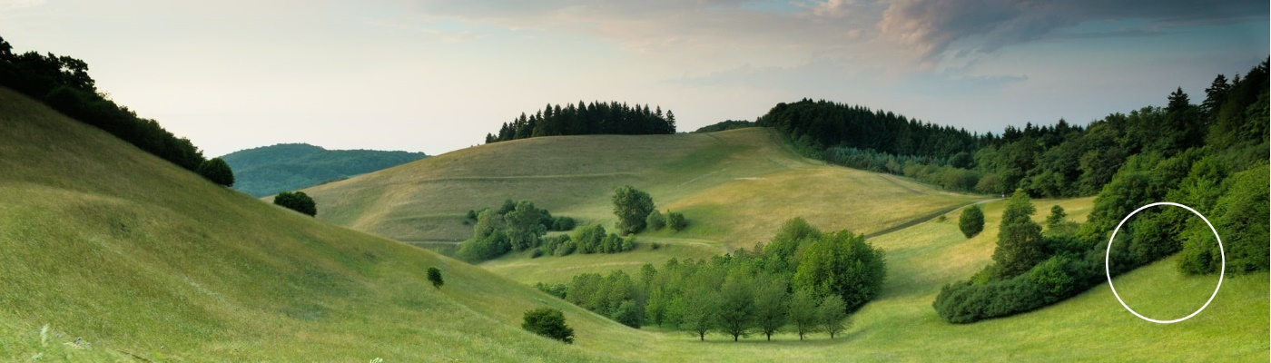 hilly landscape dotted with forest areas with a white circle in bottom right