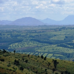 View of many agricultural fields with large mountains in the distance 