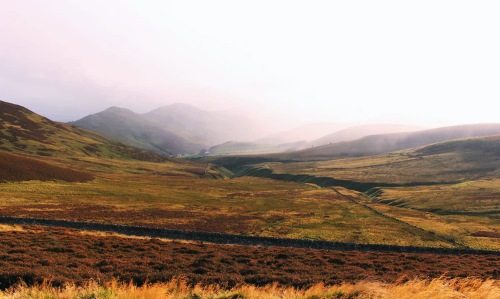 Peatland on the moors