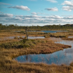 River water inbetween mounds of peatland