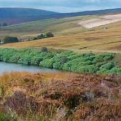 Looking down onto a river and hills 