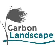 Carbon landscape logo