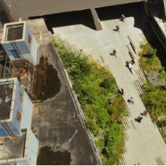 aerial view of people walking in-between trees and concrete buildings 